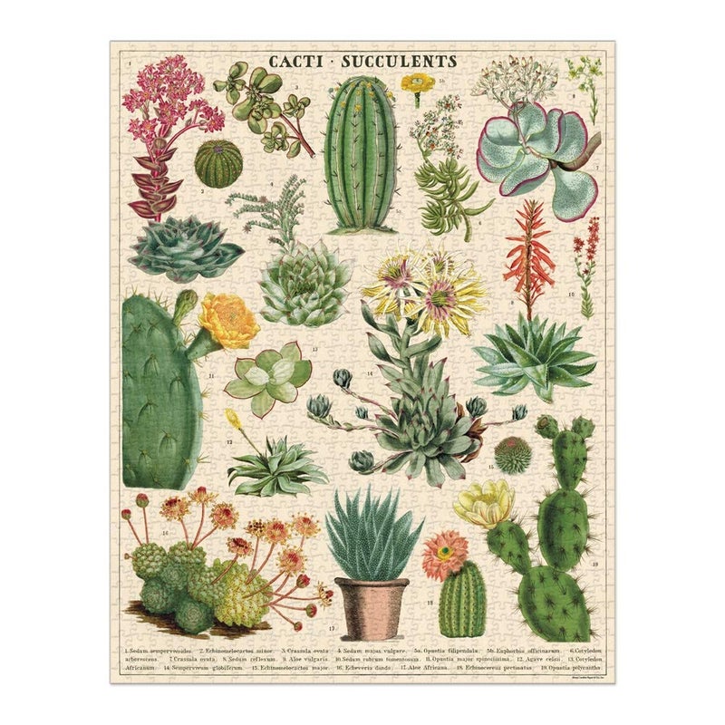 CAVANILLI & CO. Cavallini 1000 Piece Puzzle, Cacti and Succulents (PZL/SUC) - Image 1